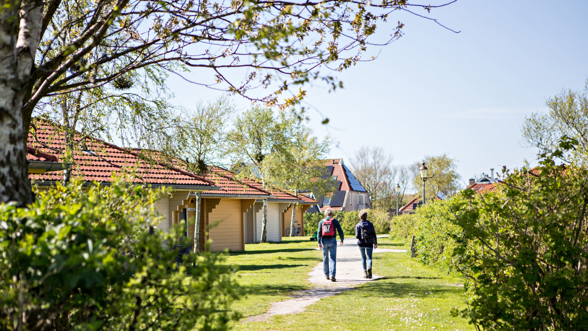 Brede paden park Villabungalow whirlpool Tjermelan Terschelling