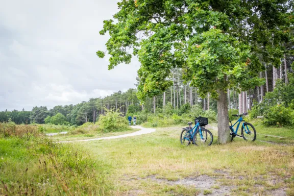 Naar buiten op Terschelling wandelen fietsen vrijheid vakantie uitwaaien