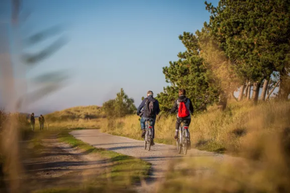 Wandelen en Fietsen op Terschelling