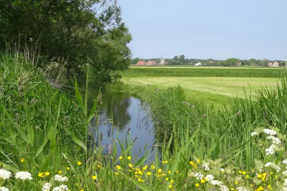 DSC09304 DESKTOP34 A