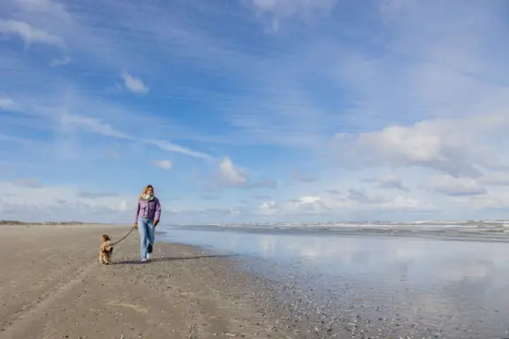 Terschellingmaart102 DESKTOP34 A