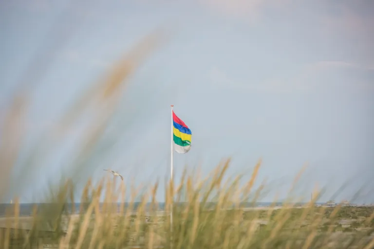 November midweek last-minutes Terschelling