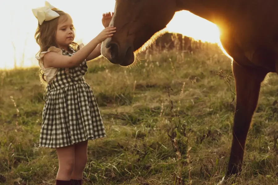 Meisje met paard in de duinen